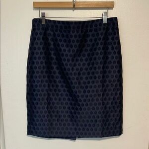 EUC JCrew Navy Polka Dot Skirt